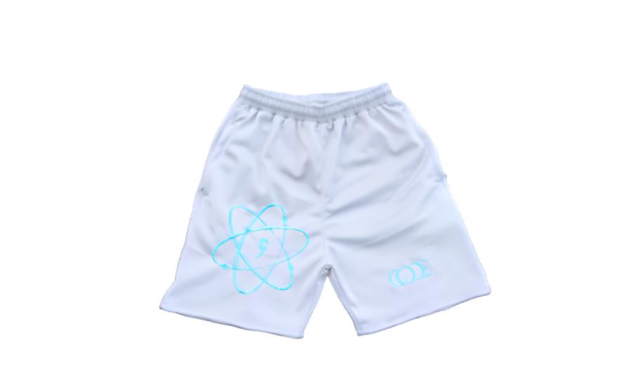 Atomic shorts grey/Tiffany blue